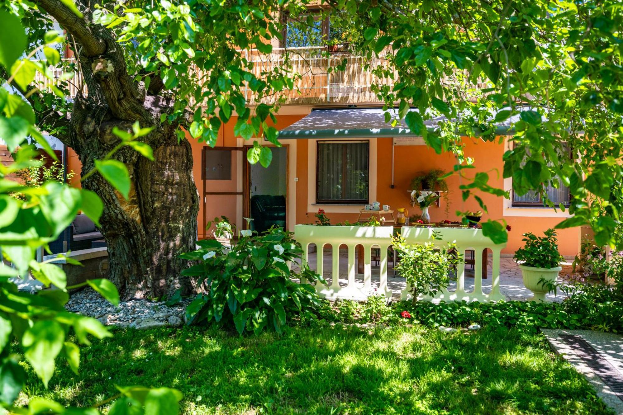 E-M Apartments With Private Pool Vinkuran Dış mekan fotoğraf