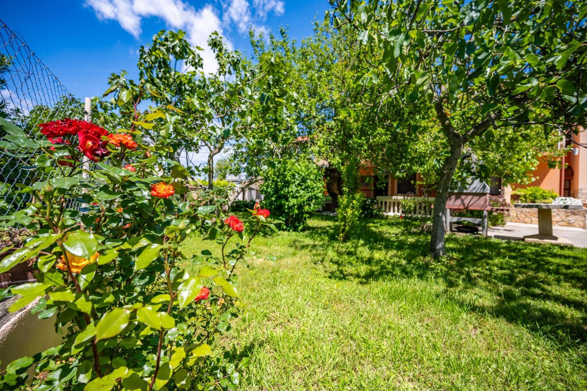 E-M Apartments With Private Pool Vinkuran Dış mekan fotoğraf