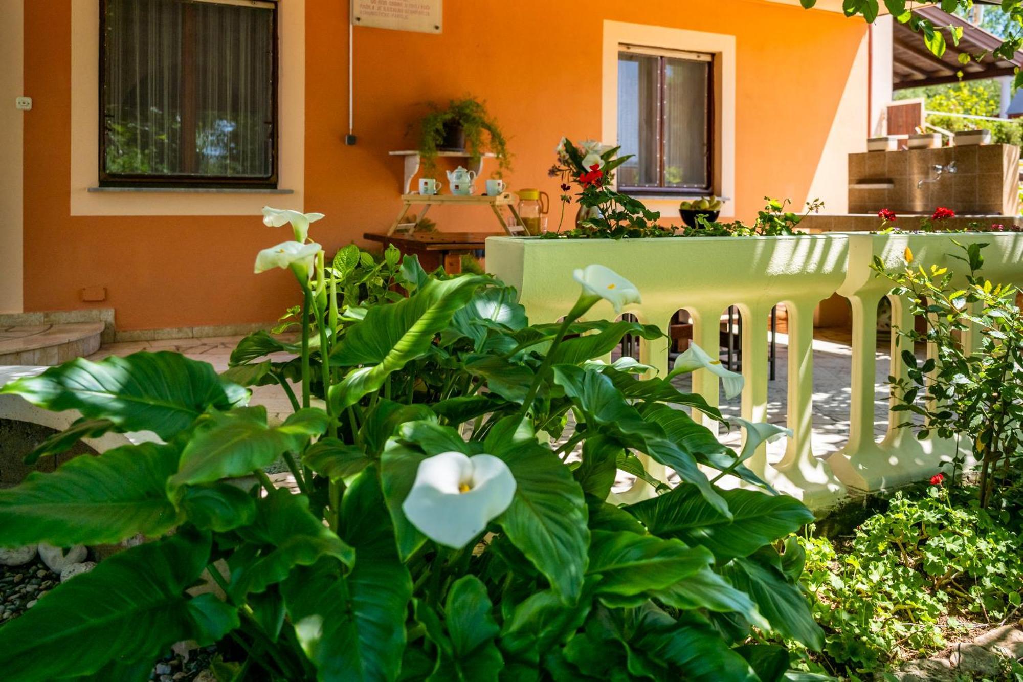 E-M Apartments With Private Pool Vinkuran Dış mekan fotoğraf